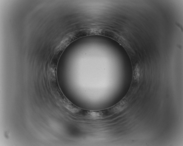 X0000099450522200805161025