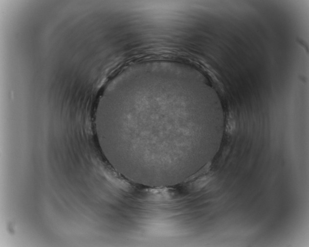 X0000099450524200805161025