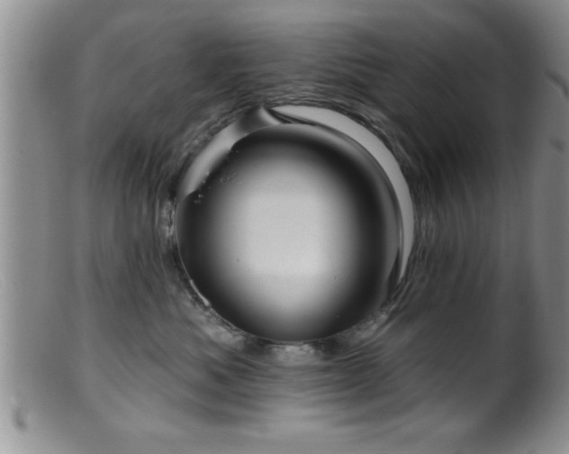 X0000099450525200805161025