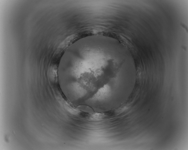 X0000099450527200805161025