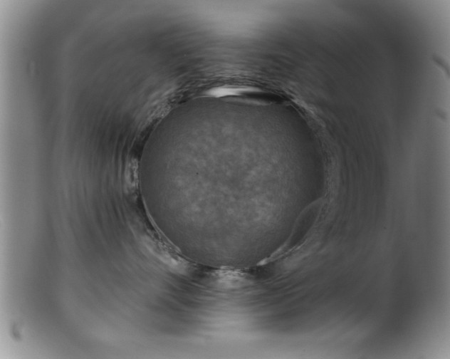 X0000099450528200805161025