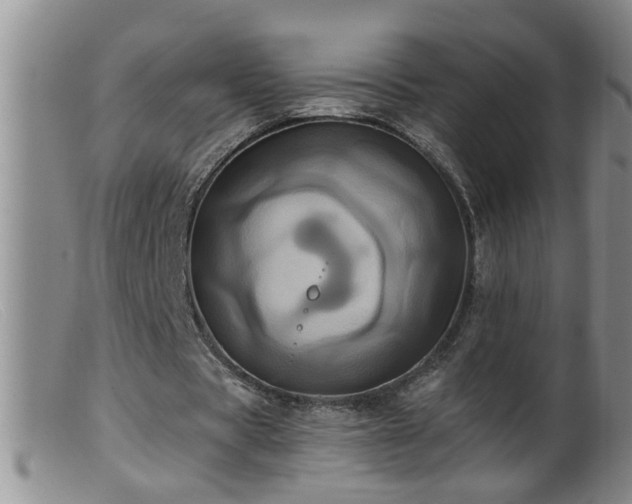 X0000099450529200805161024