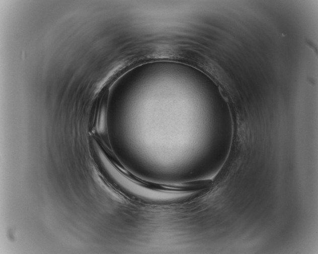 X0000099450530200805161024