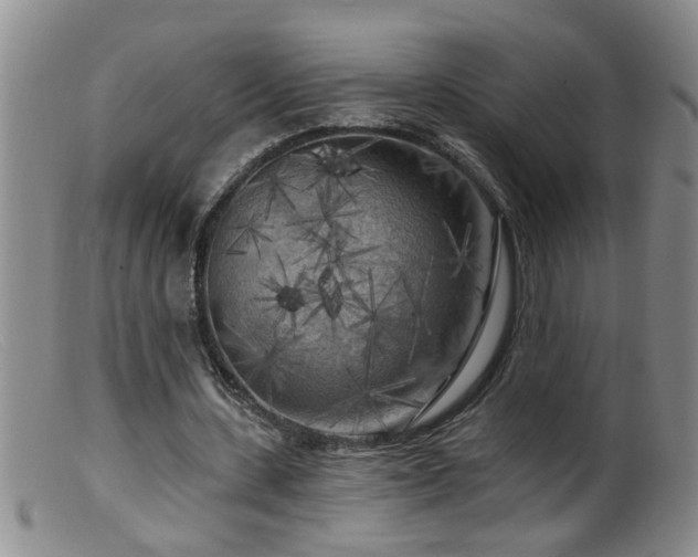 X0000099450531200805161024