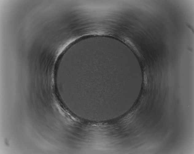 X0000099450532200805161024