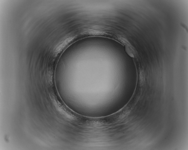 X0000099450533200805161024