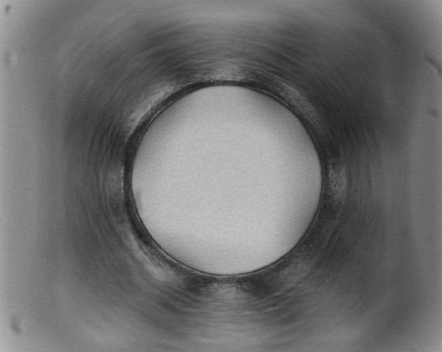 X0000099450534200805161024