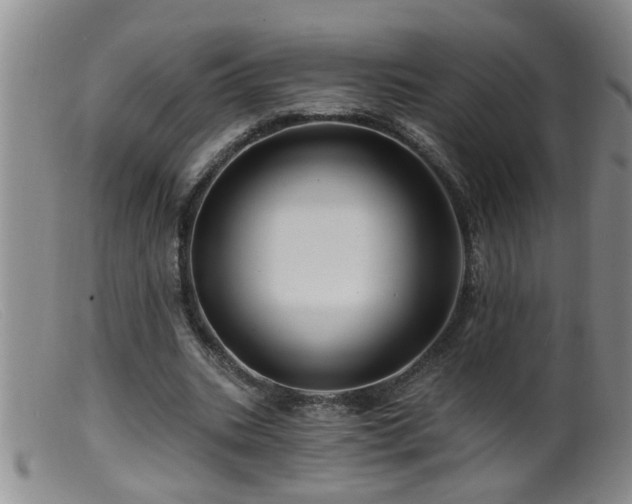 X0000099450535200805161024