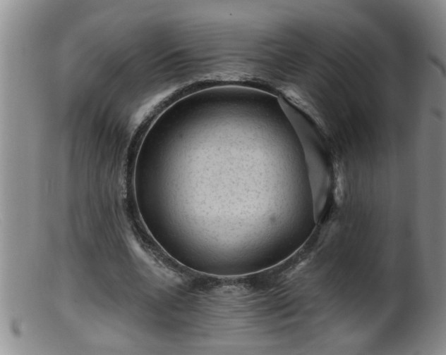 X0000099450536200805161024