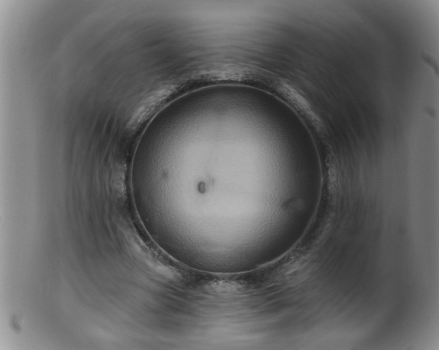 X0000099450537200805161024