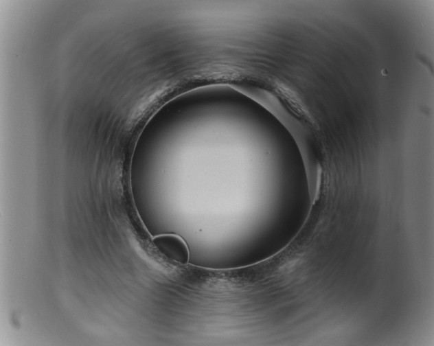 X0000099450538200805161024