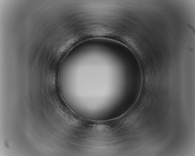 X0000099450539200805161024