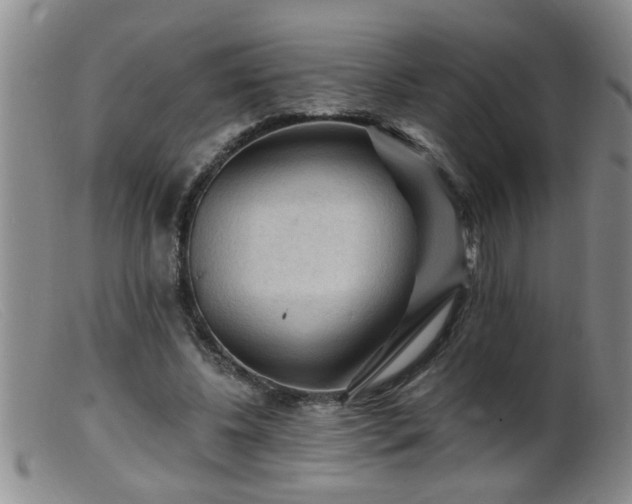 X0000099450540200805161024