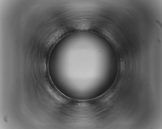 X0000099450541200805161024