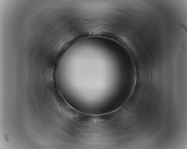 X0000099450543200805161024