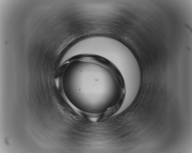 X0000099450544200805161024