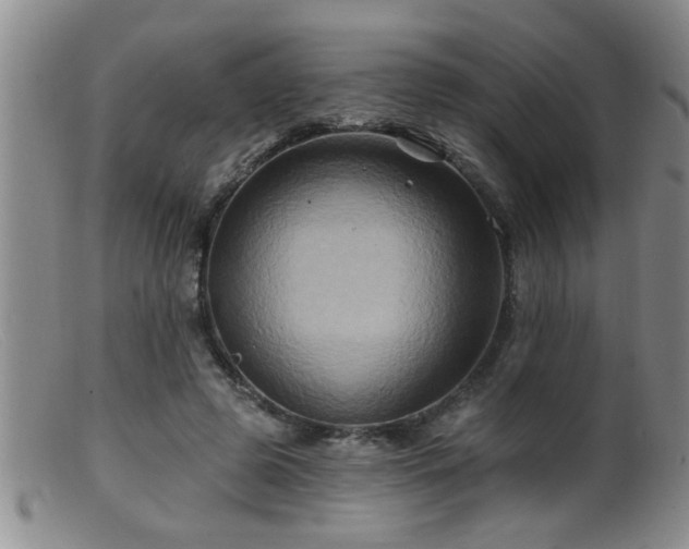 X0000099450545200805161024