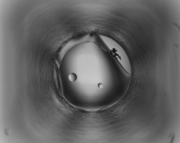 X0000099450546200805161024