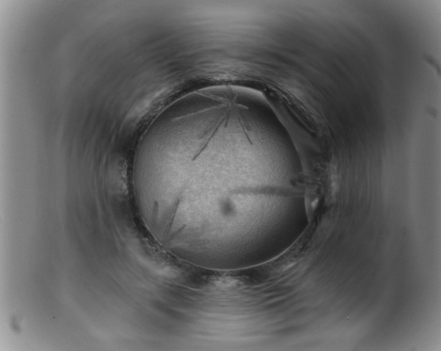 X0000099450547200805161024