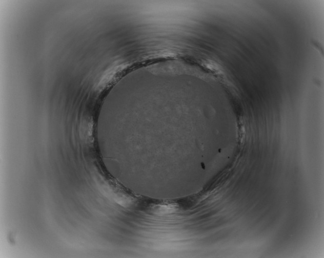 X0000099450548200805161024