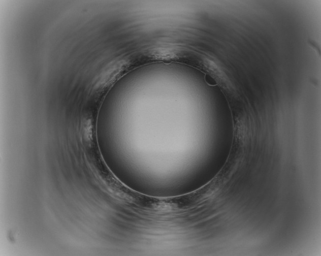 X0000099450549200805161025