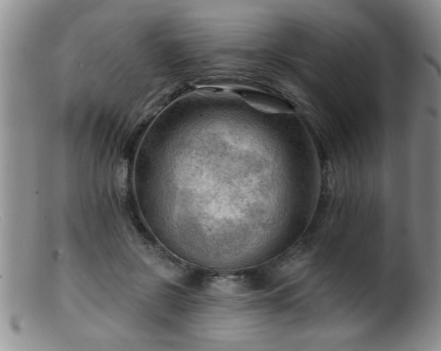 X0000099450550200805161025