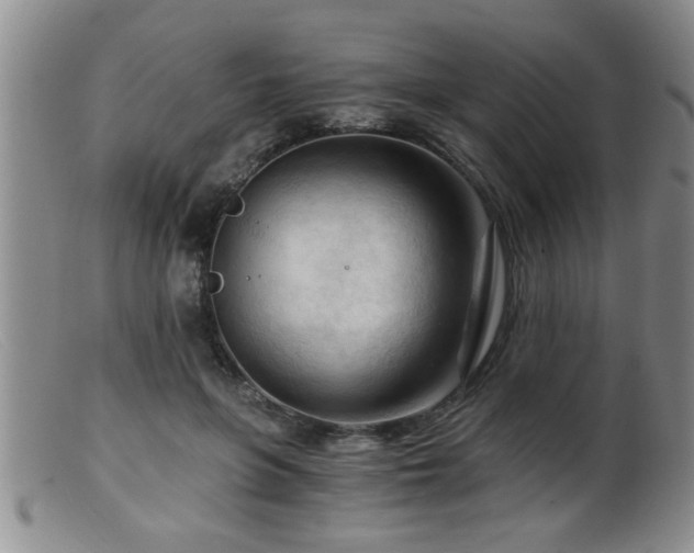 X0000099450551200805161025