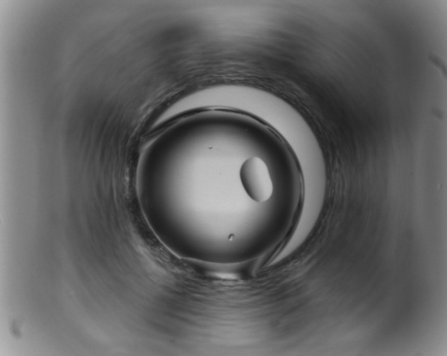 X0000099450552200805161025