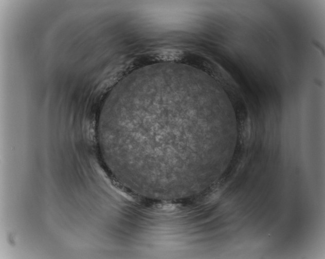 X0000099450553200805161025