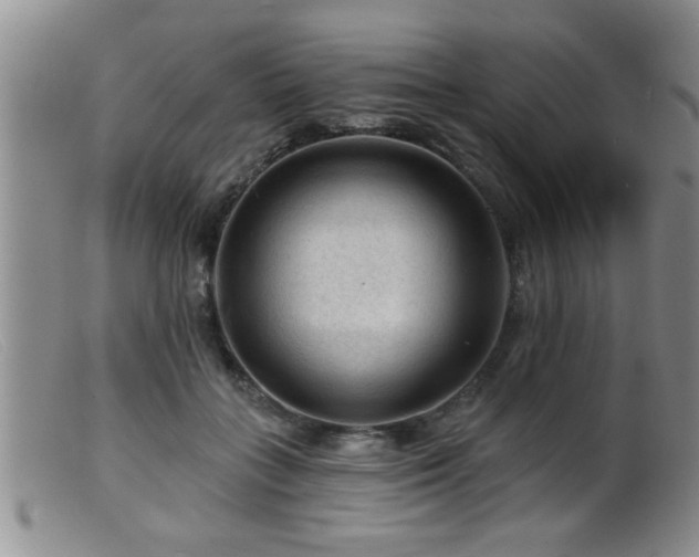 X0000099450555200805161025