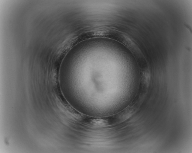 X0000099450557200805161025