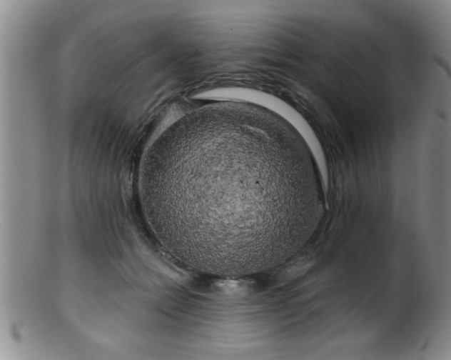 X0000099450558200805161025