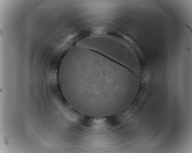 X0000099450560200805161025