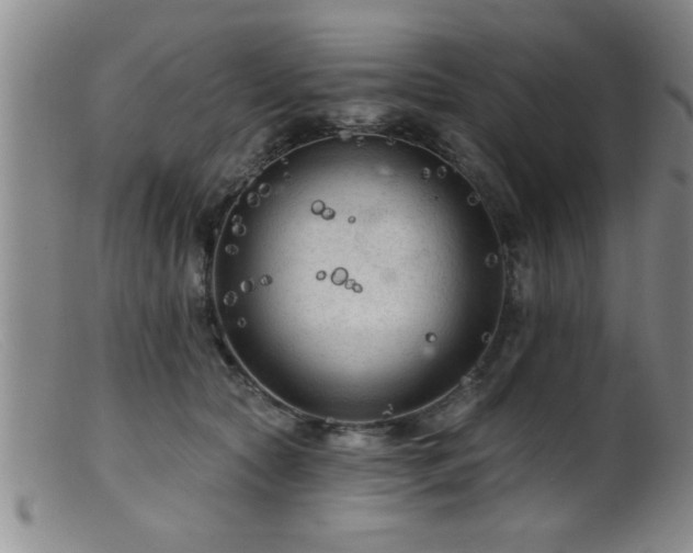 X0000099450561200805161025