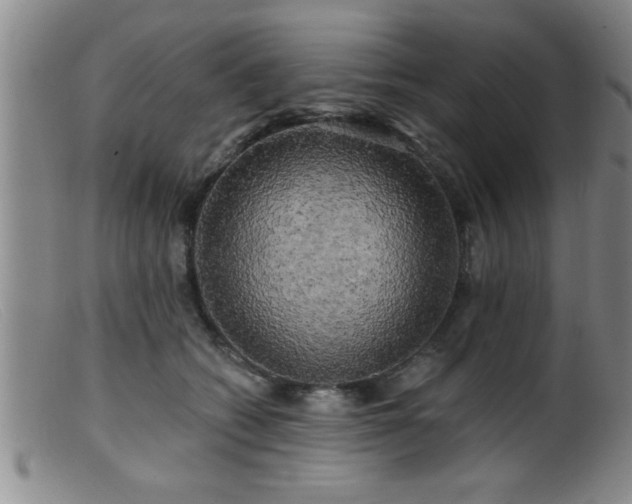 X0000099450562200805161025