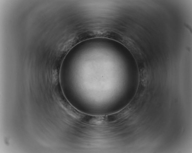 X0000099450563200805161025