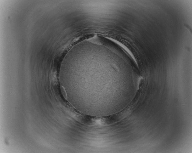 X0000099450564200805161025