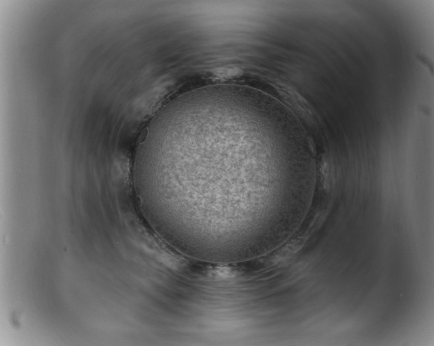 X0000099450565200805161025