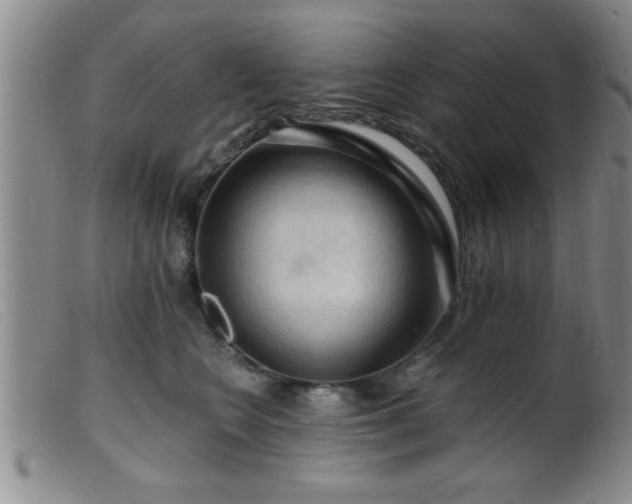 X0000099450566200805161025