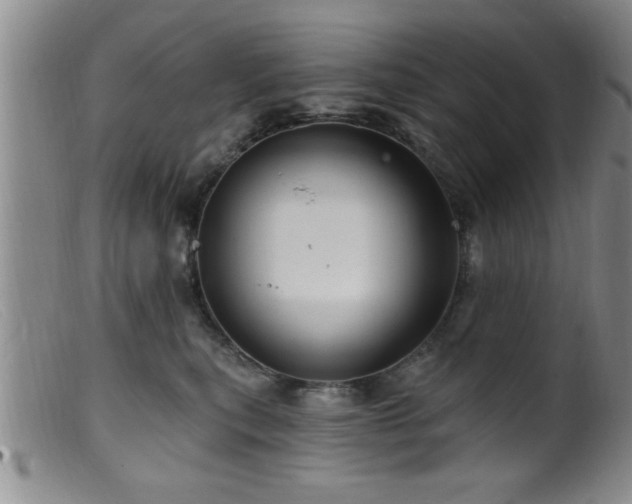 X0000099450567200805161025