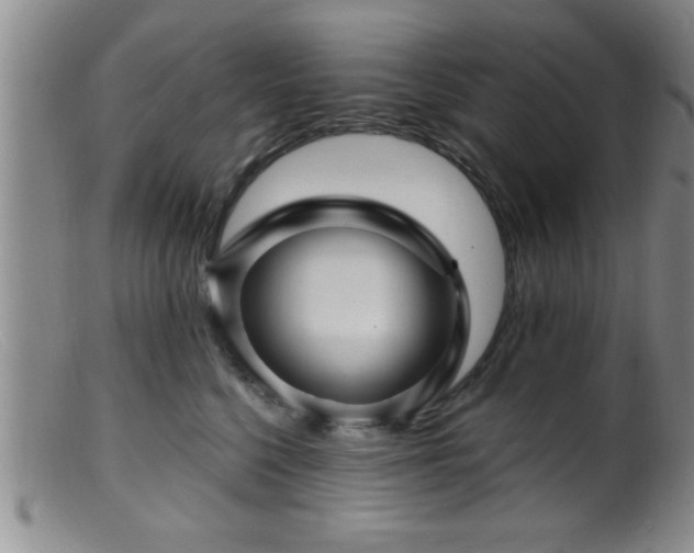 X0000099450568200805161025