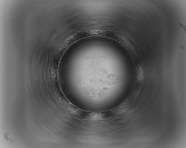 X0000099450569200805161025