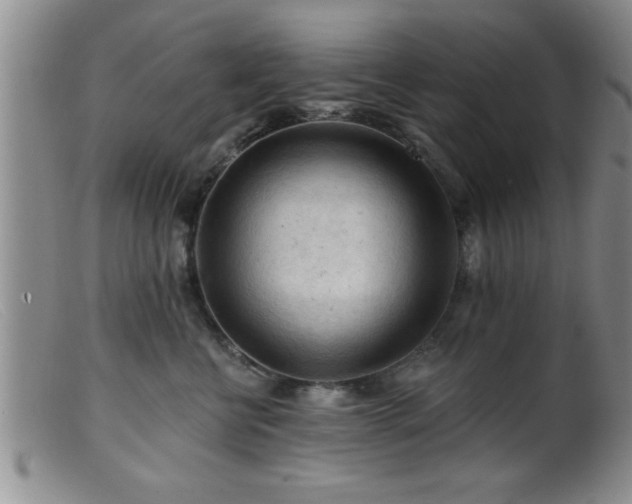 X0000099450570200805161025