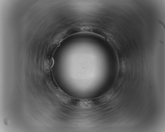 X0000099450571200805161025