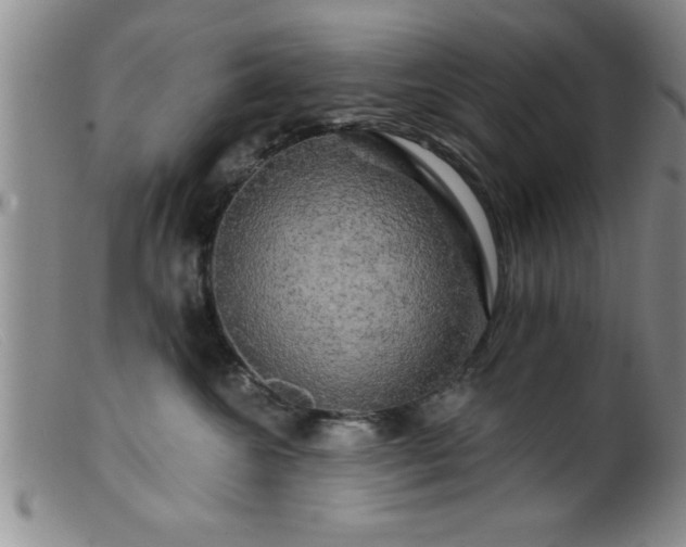 X0000099450572200805161025