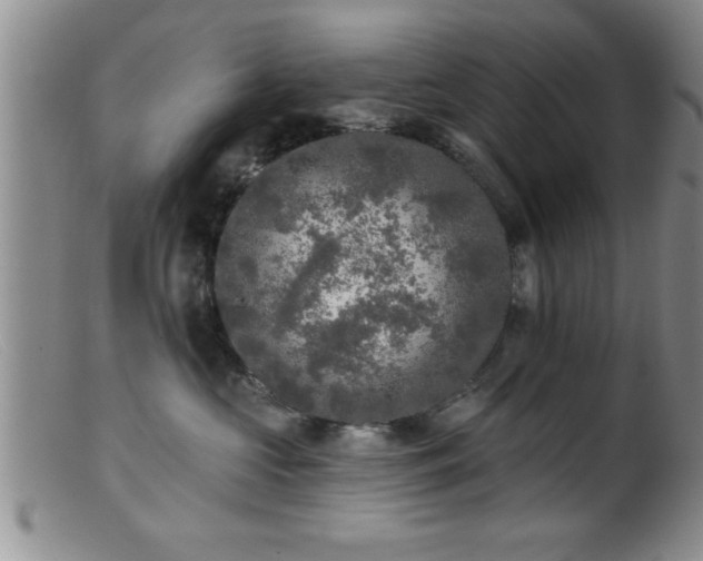 X0000099450573200805161025