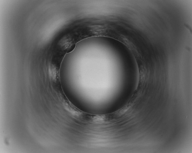 X0000099450574200805161025