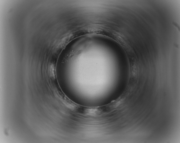 X0000099450575200805161025