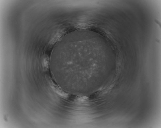 X0000099450576200805161025