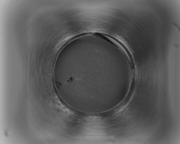 X0000099450577200805161024